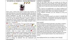 Fiche Jus Détox Ananas-Betterave
