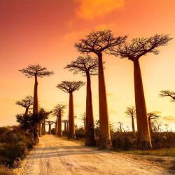 TOUR MALIN MADAGASCAR - MADAVOYAGES